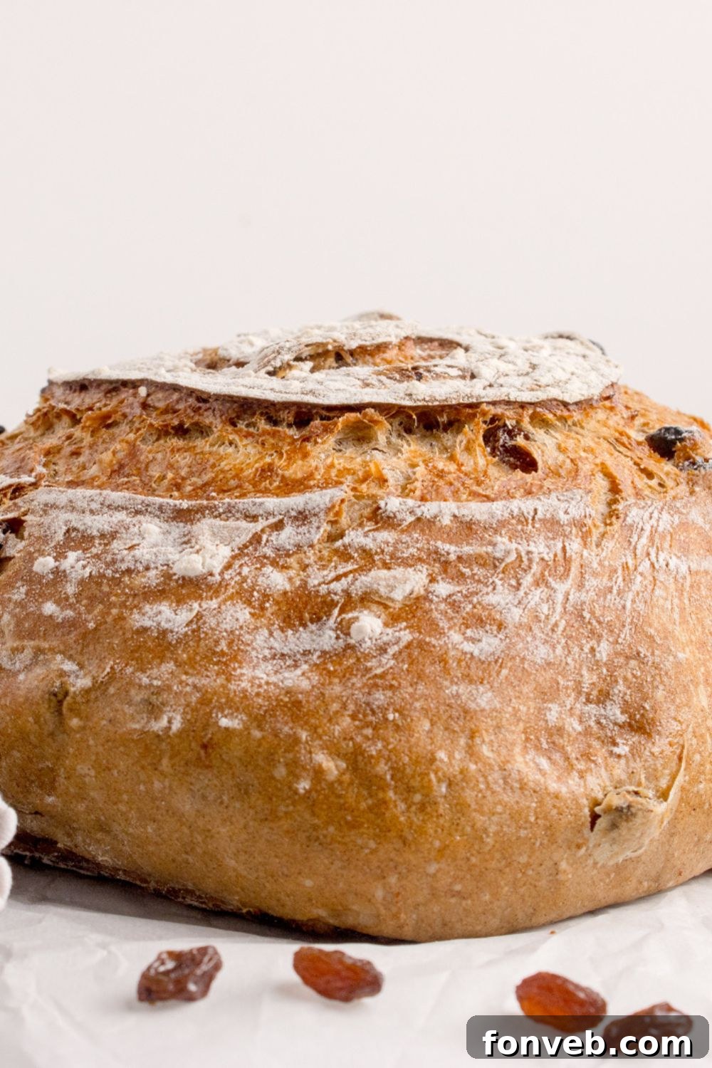 round loaf of No-knead Cinnamon Raisin Bread sitting on table for a close up view 