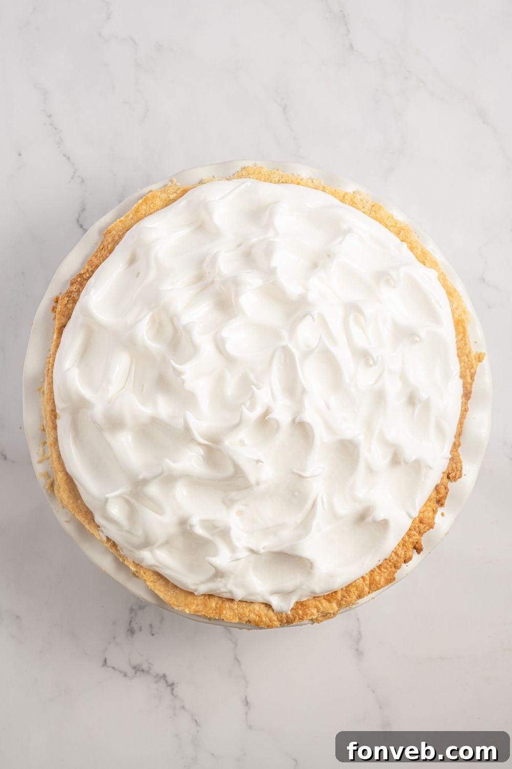 meringue topped Coconut Meringue Pie