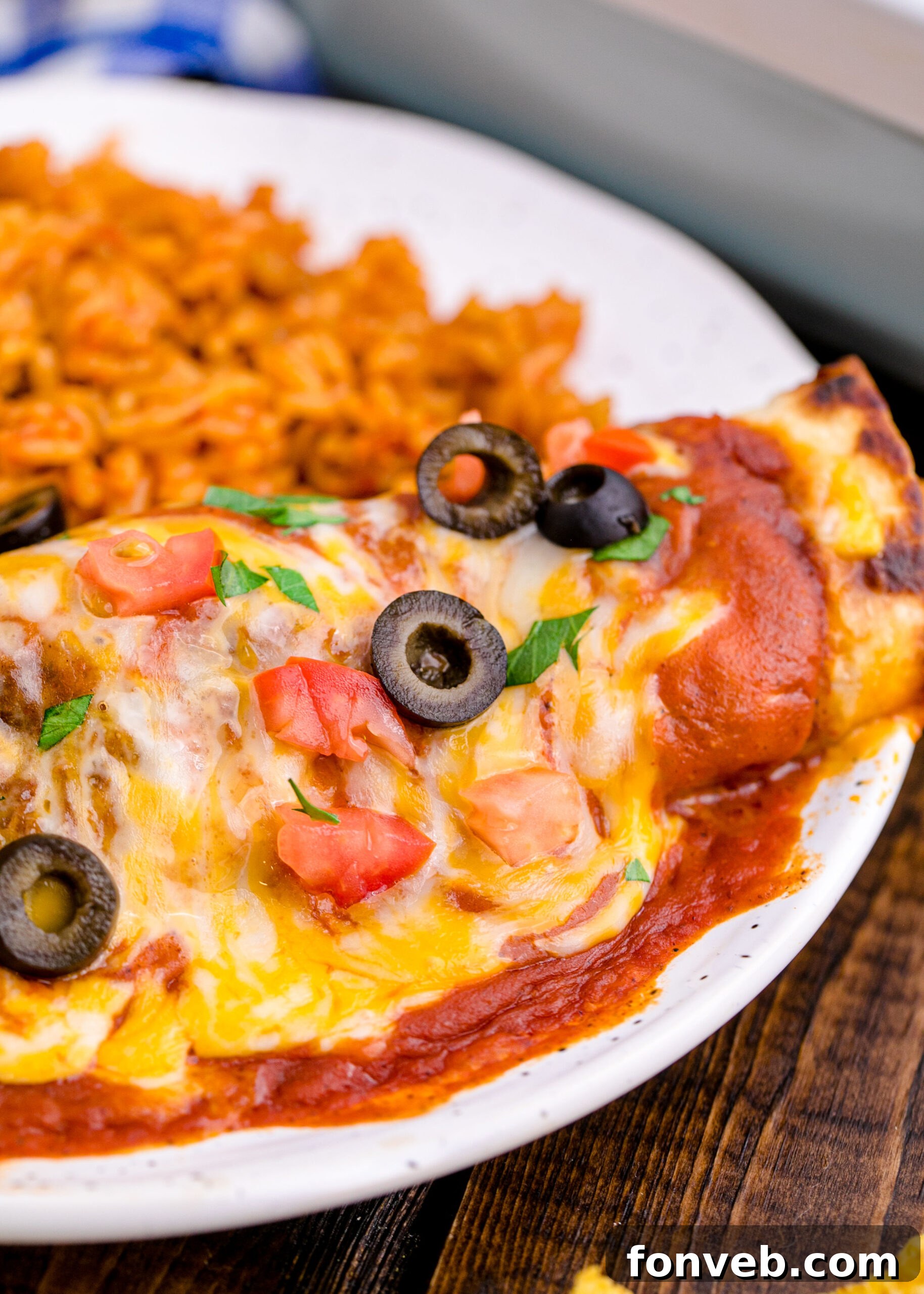 Chicken Enchilada with Homemade Enchilada Sauce on it