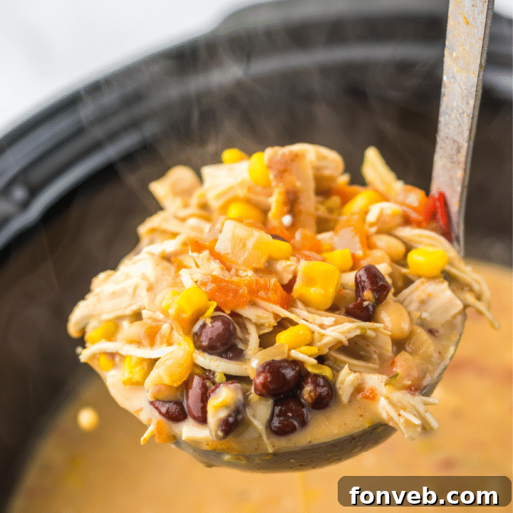 A ladle expertly scooping a generous portion of steaming tortilla soup from the slow cooker, showcasing the rich texture and vibrant ingredients.