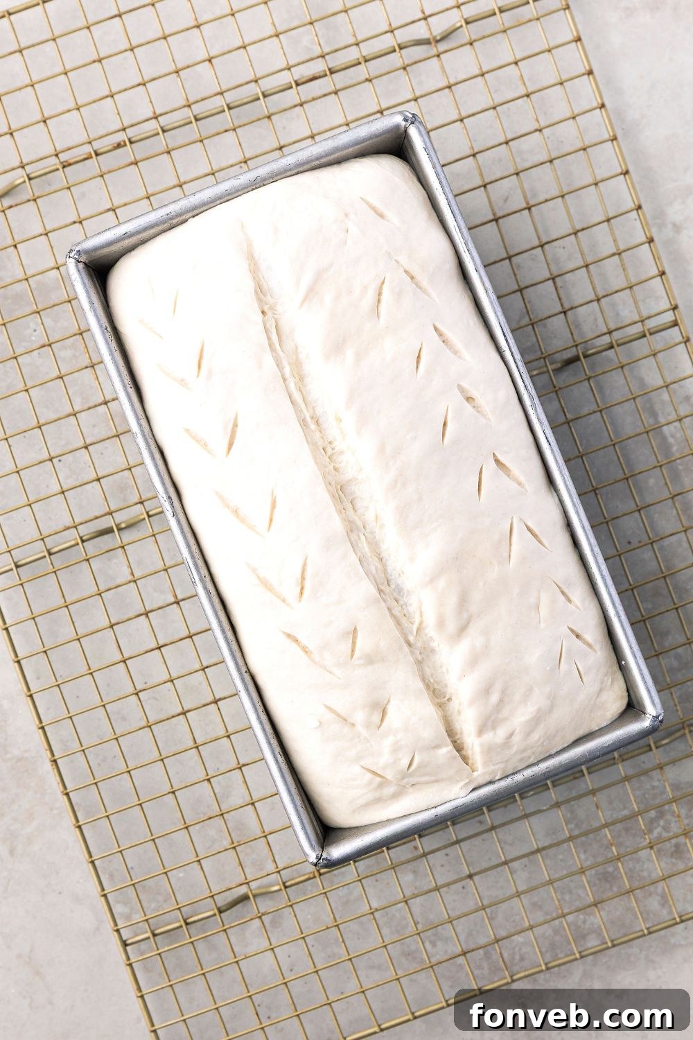 Effortless Homemade Sourdough Perfectly Crusty Always 18 Homemade Sourdough Bread dough that has slits in it to show how to cut the bread dough