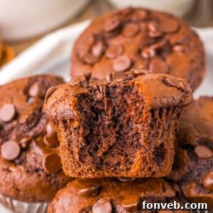 Costco Double Chocolate Muffins on plate with a bite taken out of one of the muffins