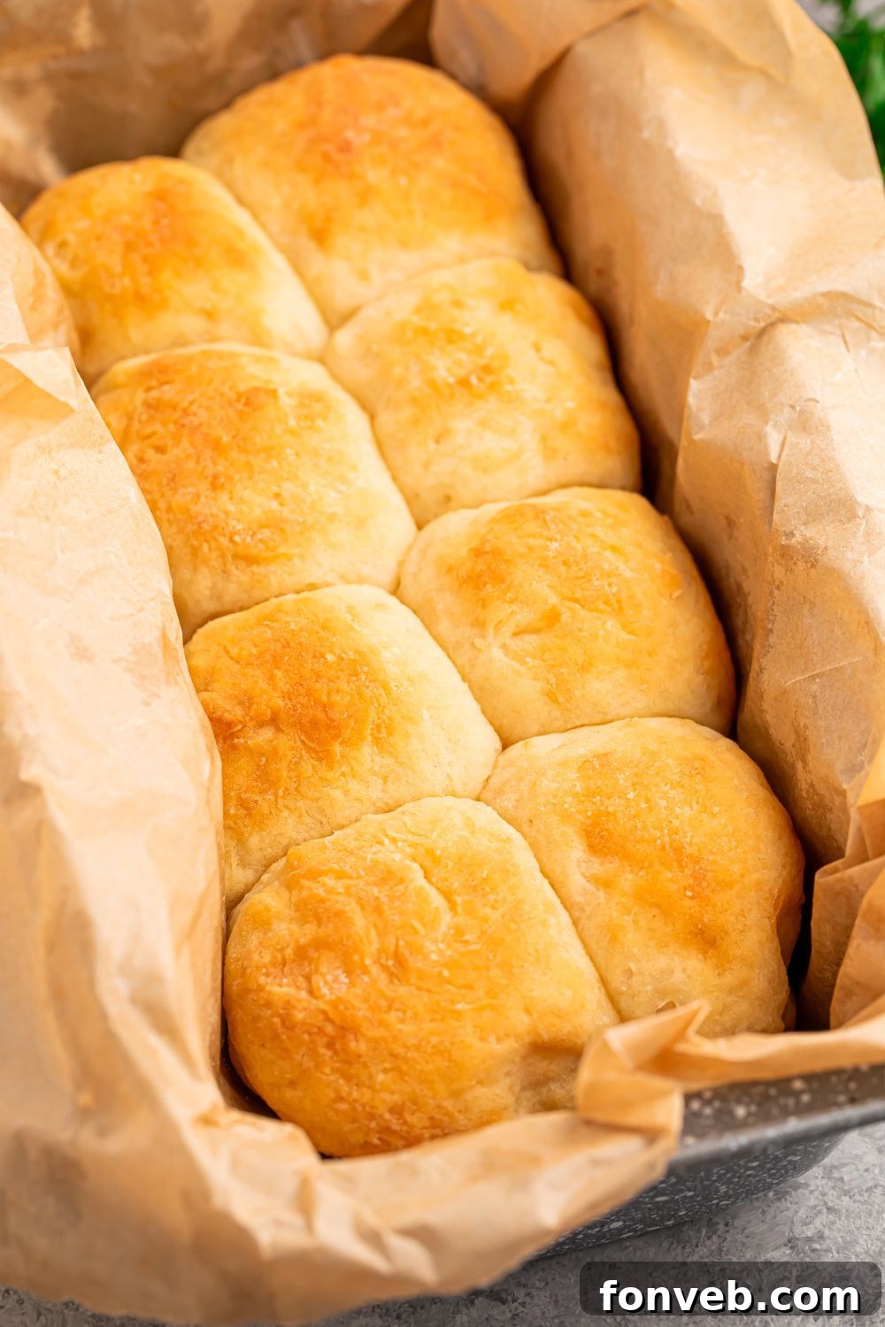 Freshly baked 2-Ingredient Dinner Rolls, golden and puffed, still in the baking pan on a table, having just come out of the oven, showcasing their soft texture.