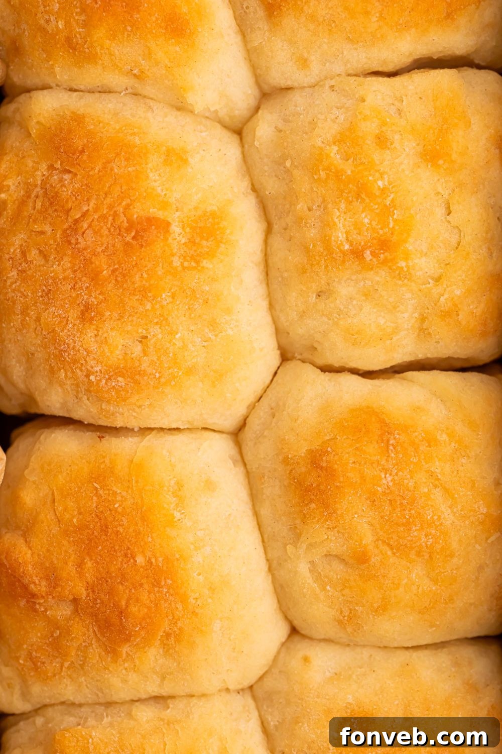A close-up shot of 2-Ingredient Dinner Rolls in a baking pan, showing the golden-brown tops and soft texture of the rolls, highlighting their visual appeal.