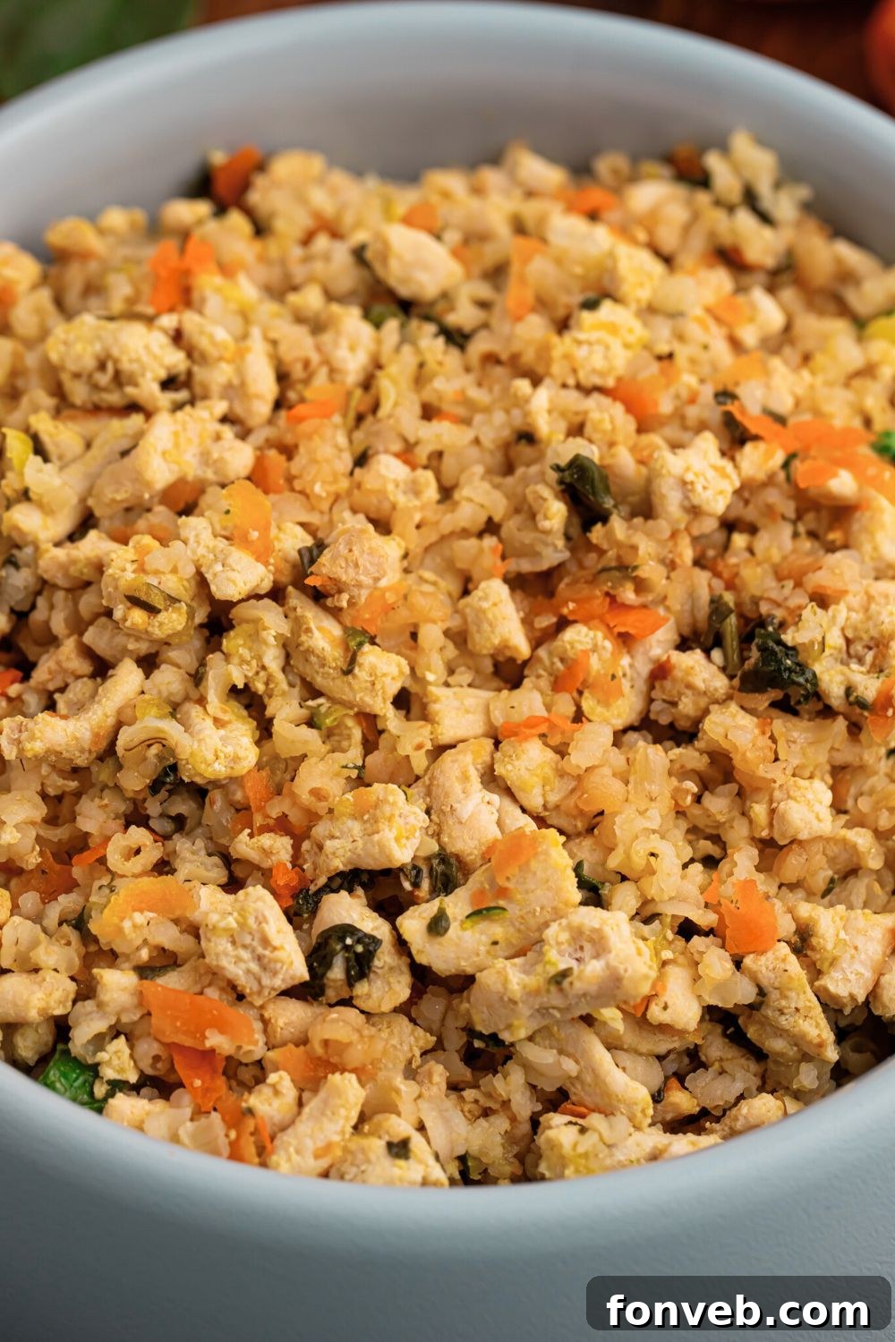 side view of Homemade Turkey and Rice Dog Food with Veggies in a dog bowl 