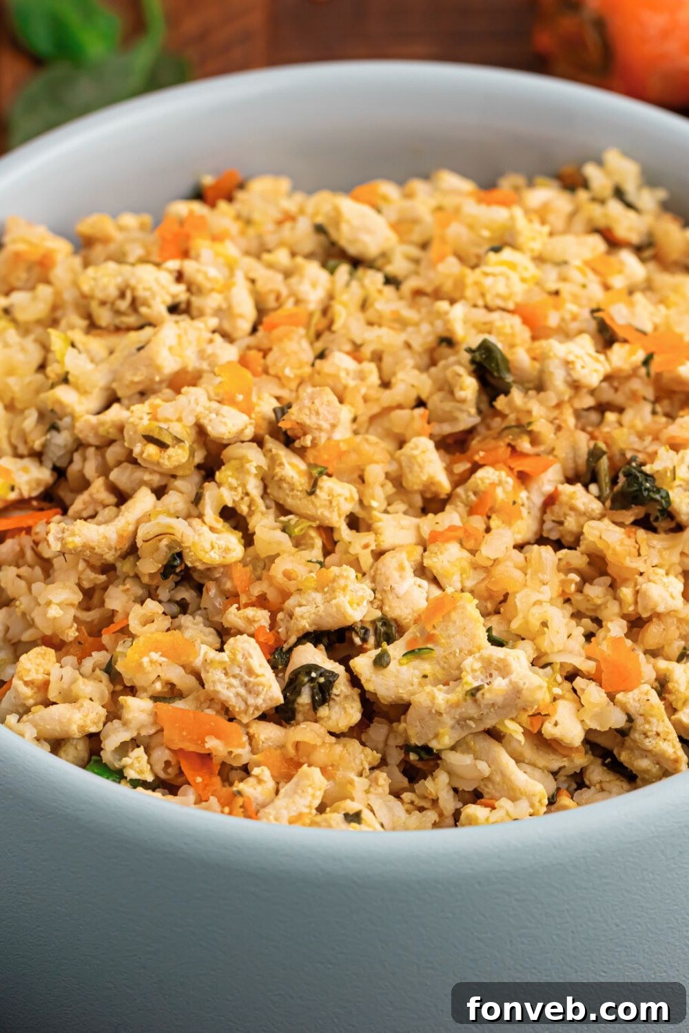 Homemade Turkey and Rice Dog Food with Veggies made fresh and in a dog bowl 