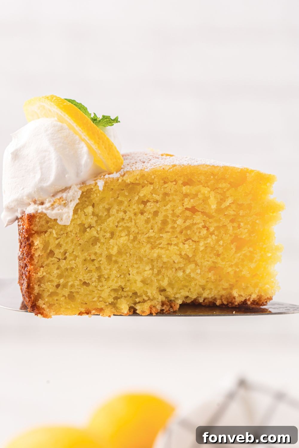 Italian Lemon Ricotta Cake sliced and view of it on plate from the side topped with whipped cream
