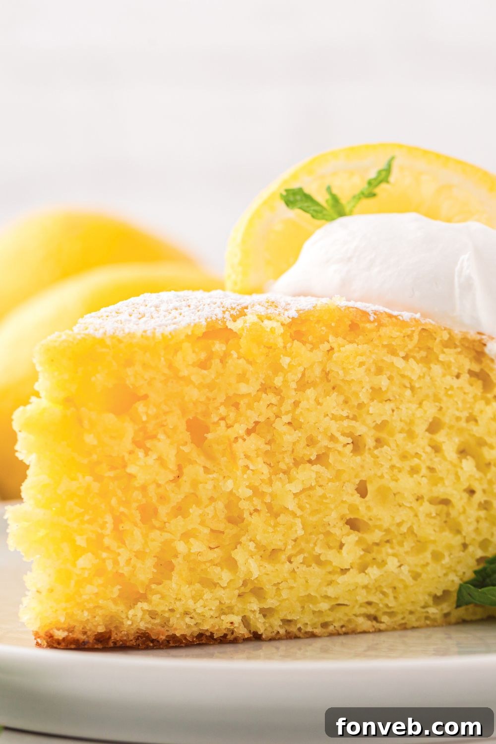 Italian Lemon Ricotta Cake sliced on plate with a dollop of whipped cream on top and a fresh lemon slice 