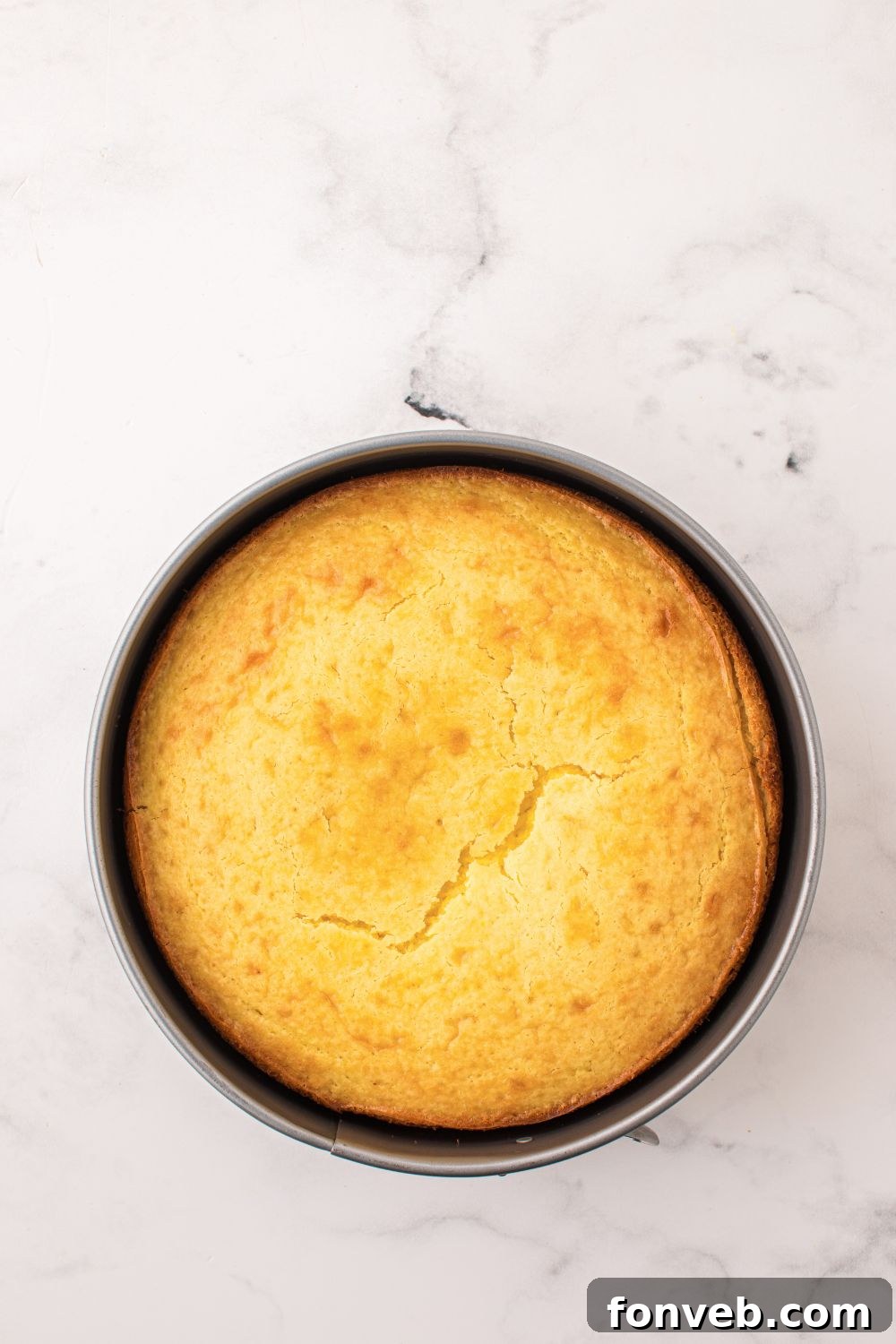 round Lemon Ricotta Cake baked in a pan sitting on a table 