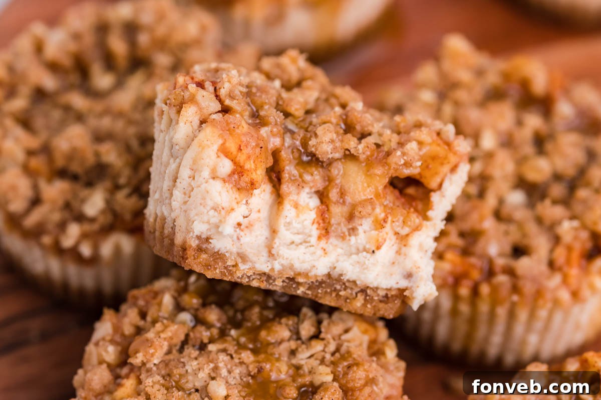 close up of the Apple Crisp Cheesecakes with a bite missing from the top one