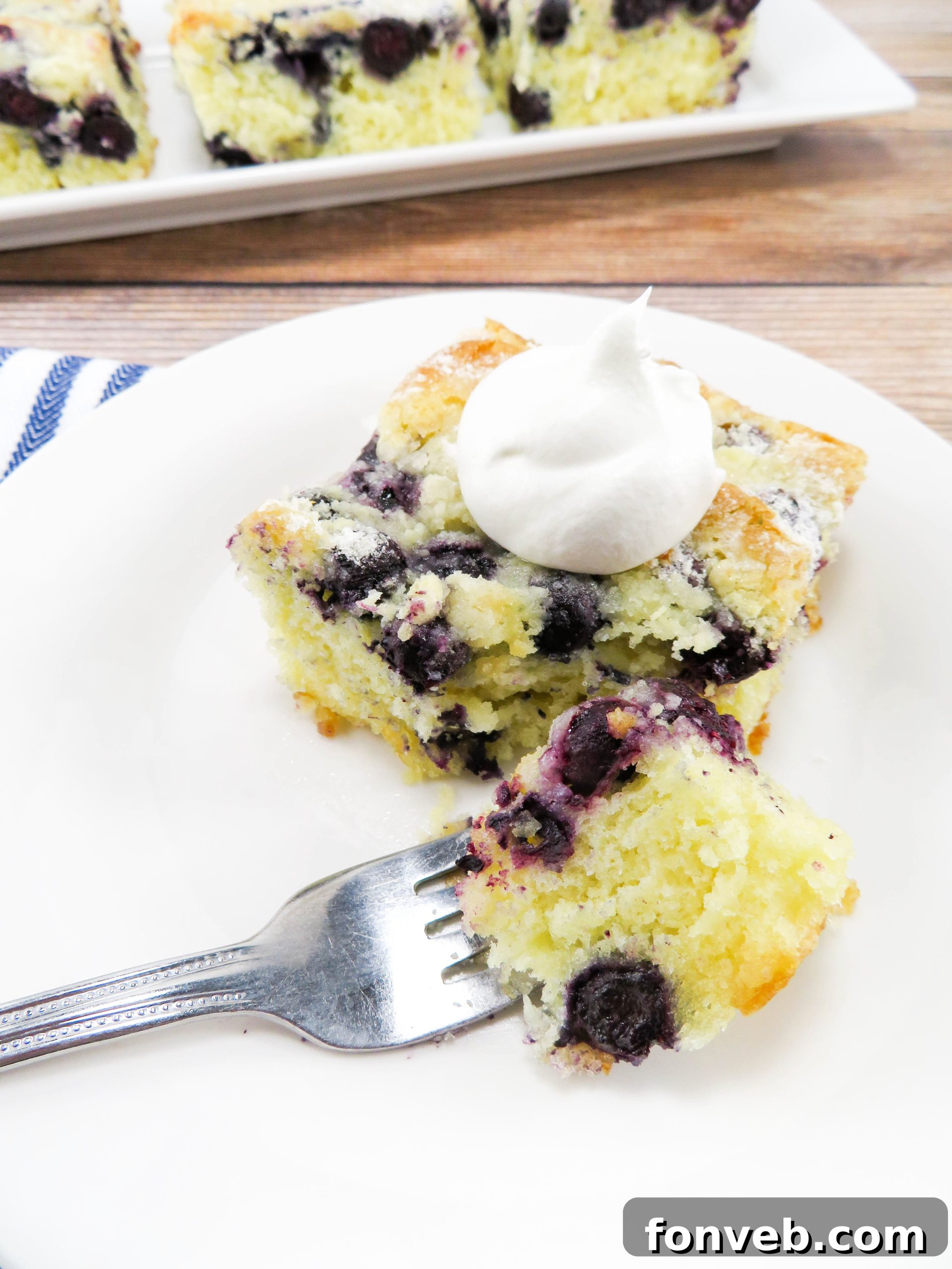 A close-up, overhead shot of the blueberry butter cake, highlighting the golden crust and blueberry distribution