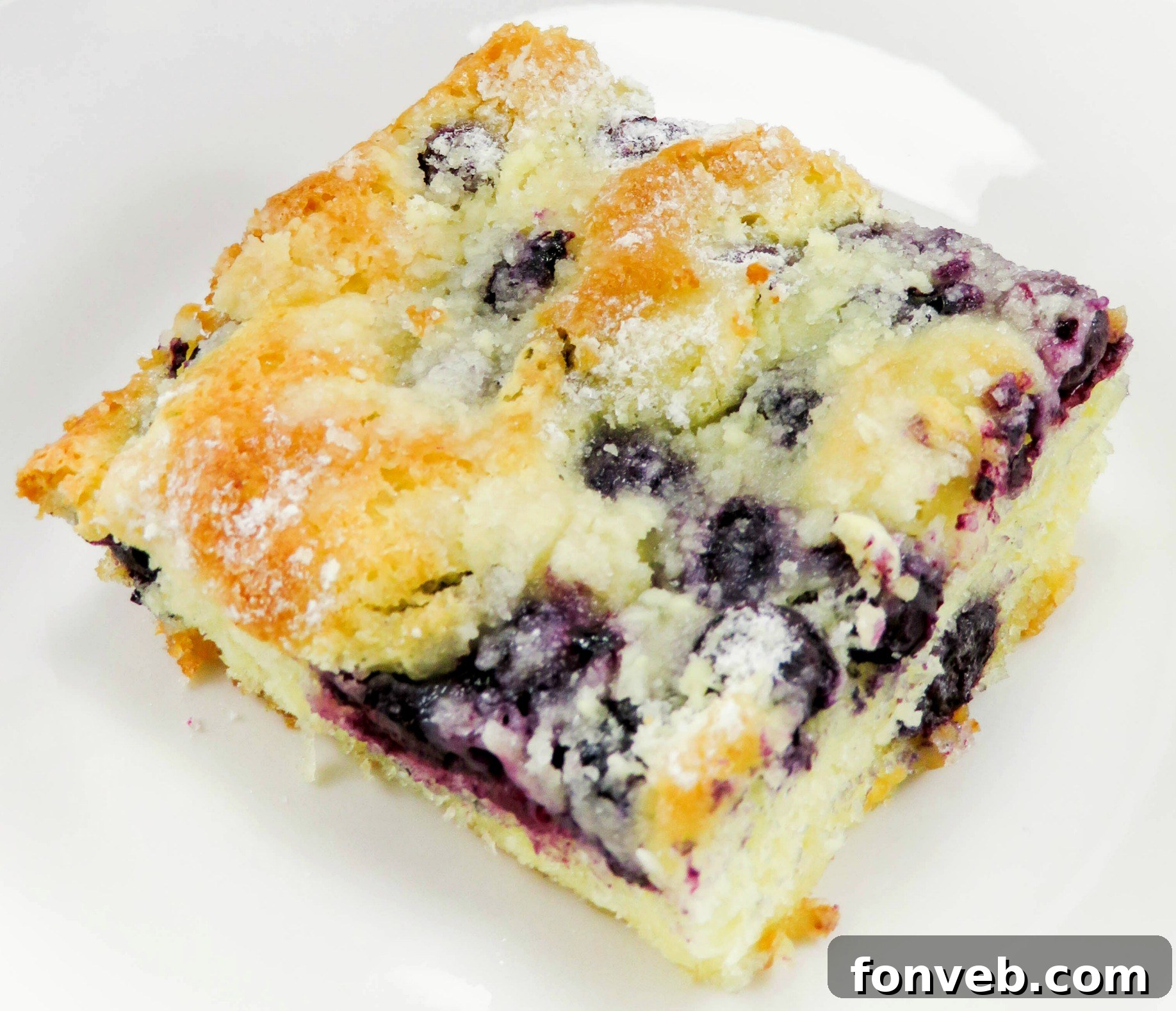 Another view of the delicious blueberry butter cake, perhaps on a rustic table setting