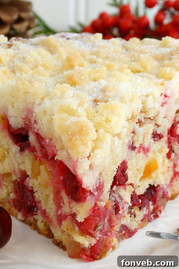 Christmas Cranberry Buckle with cranberries and streusel