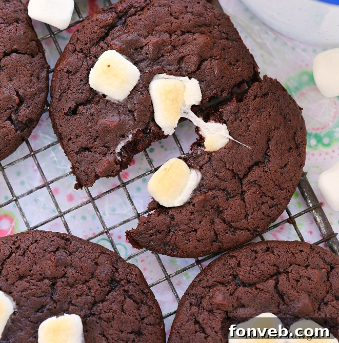 Hot Chocolate and Marshmallow Cookies with toasted marshmallows