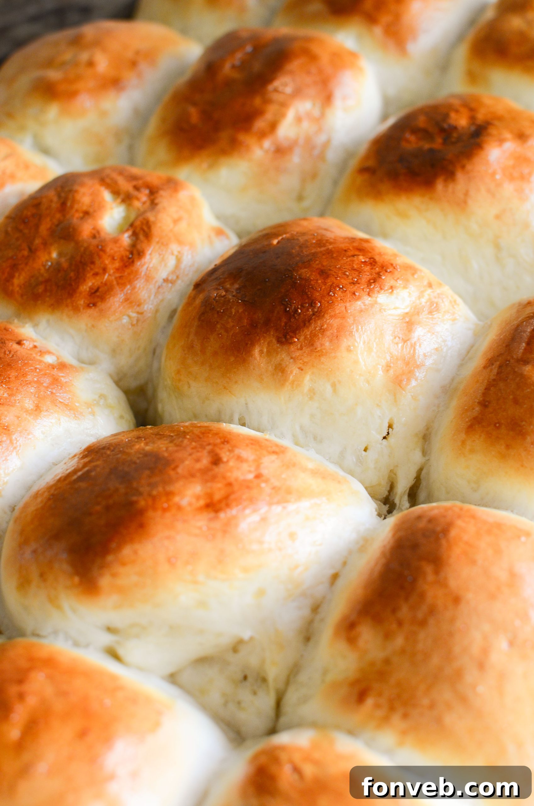 A close-up of a perfectly baked, golden-brown dinner roll with a soft, inviting texture.