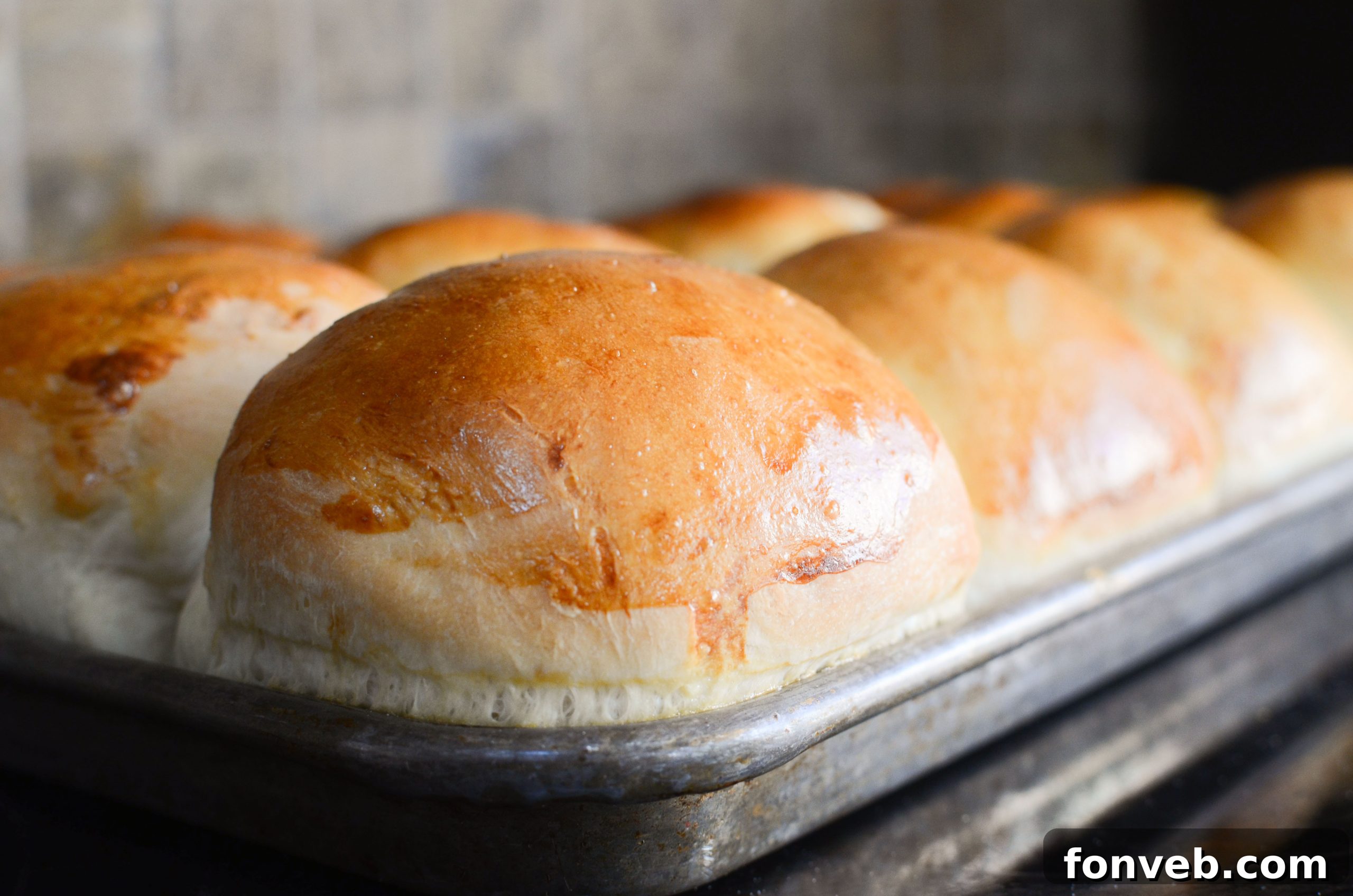 A close-up of a single, round dinner roll, perfectly golden and ready to eat.