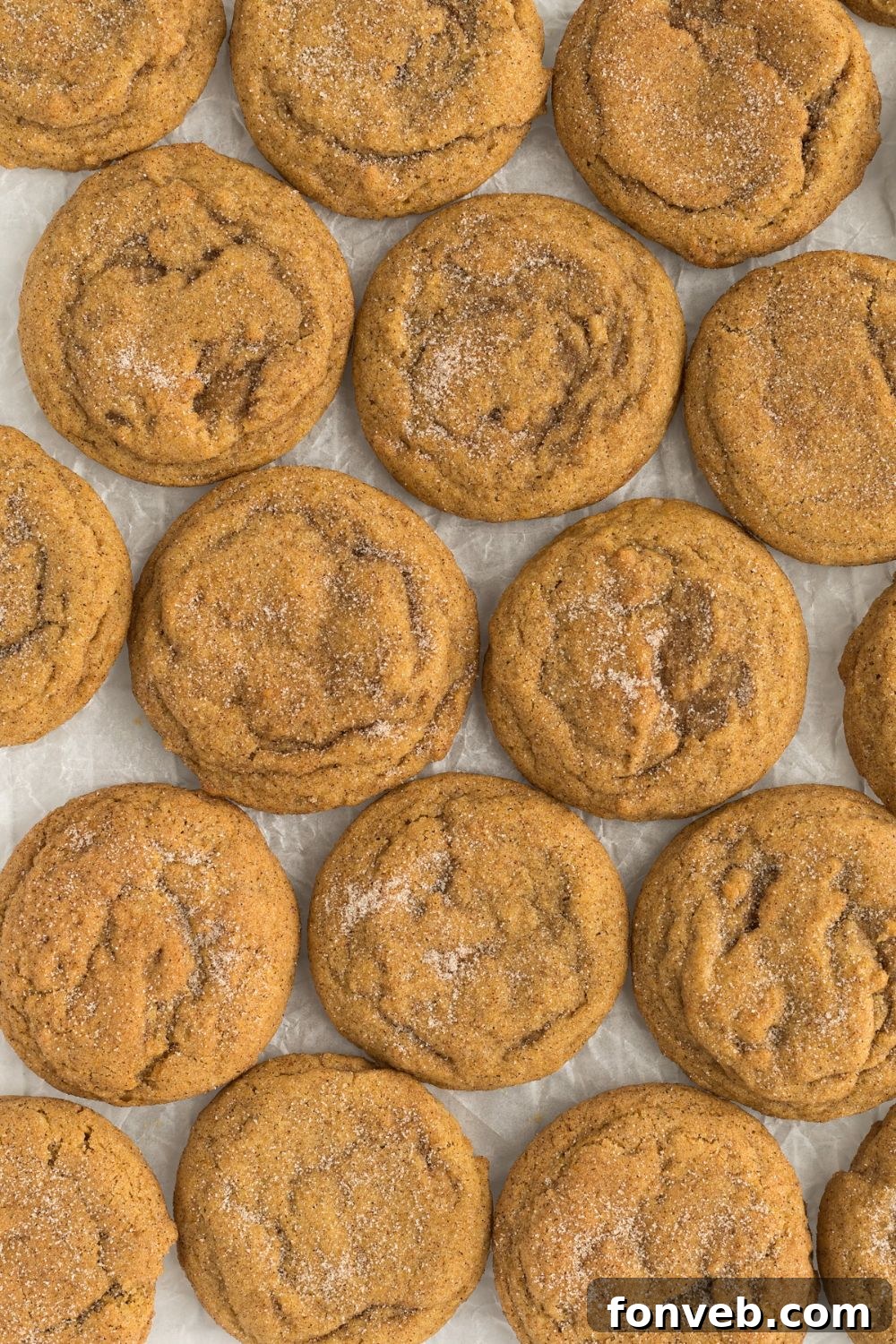 Spiced Pumpkin Snickerdoodle Cookies 11 Pumpkin Snickerdoodle Cookies scattered on table