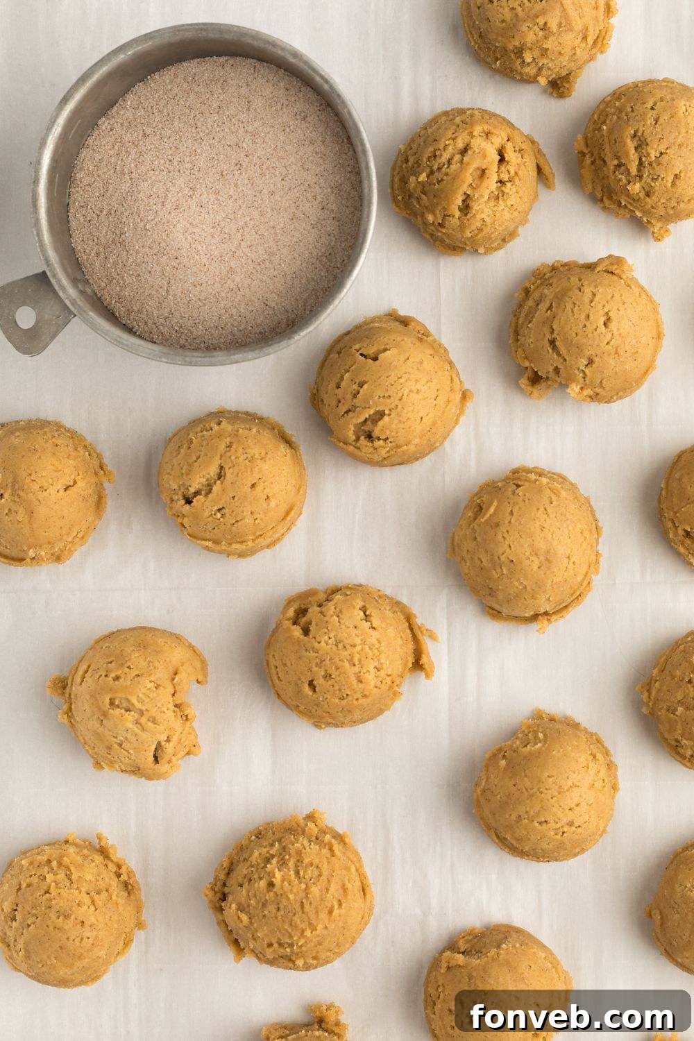 Spiced Pumpkin Snickerdoodle Cookies 8 rolled pumpkin cookie with cinnamon sugar to side