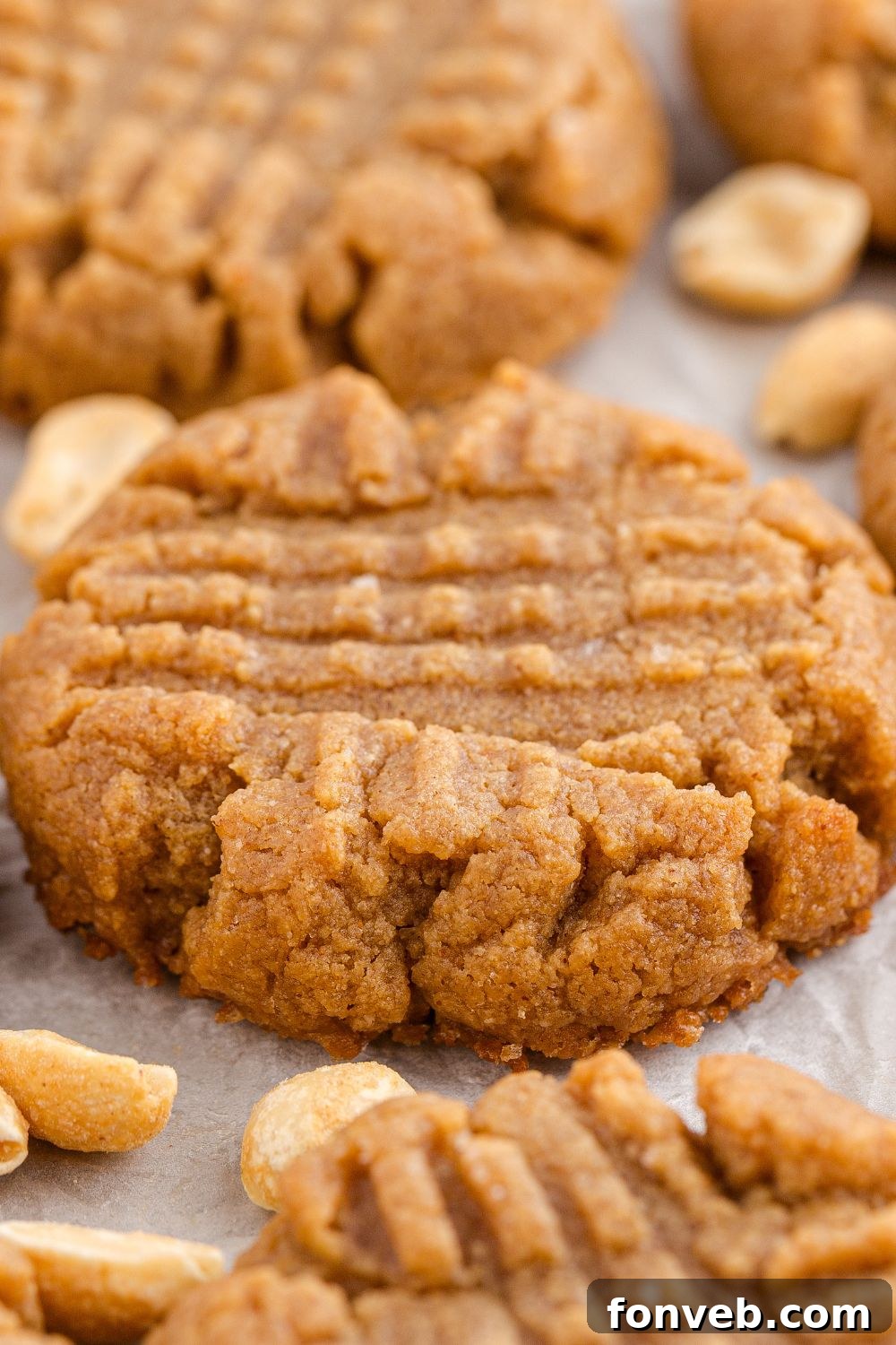 Easy 4-Ingredient Flourless Peanut Butter Cookies 12 4 Ingredient Peanut Butter Cookies spread out around the table with peanuts all around to show they are peanut cookies
