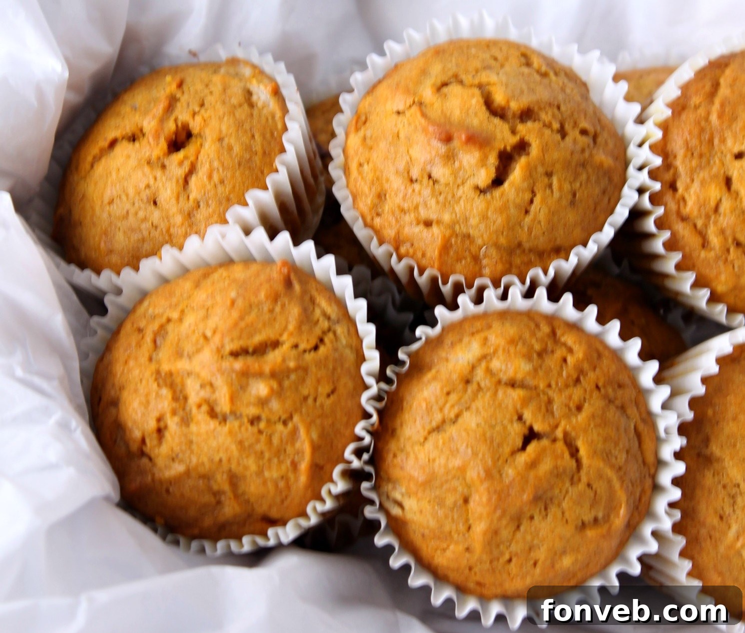 Warm Spiced Butternut Muffins 3 Close-up of a butternut squash muffin, showcasing its moist texture and warm color.