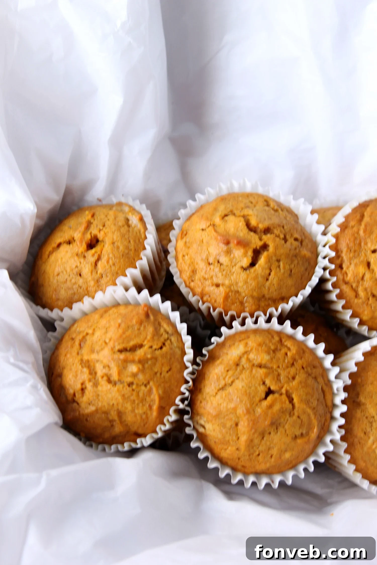 Warm Spiced Butternut Muffins 6 A close-up of a baked butternut squash muffin, possibly with added walnuts or pecans.