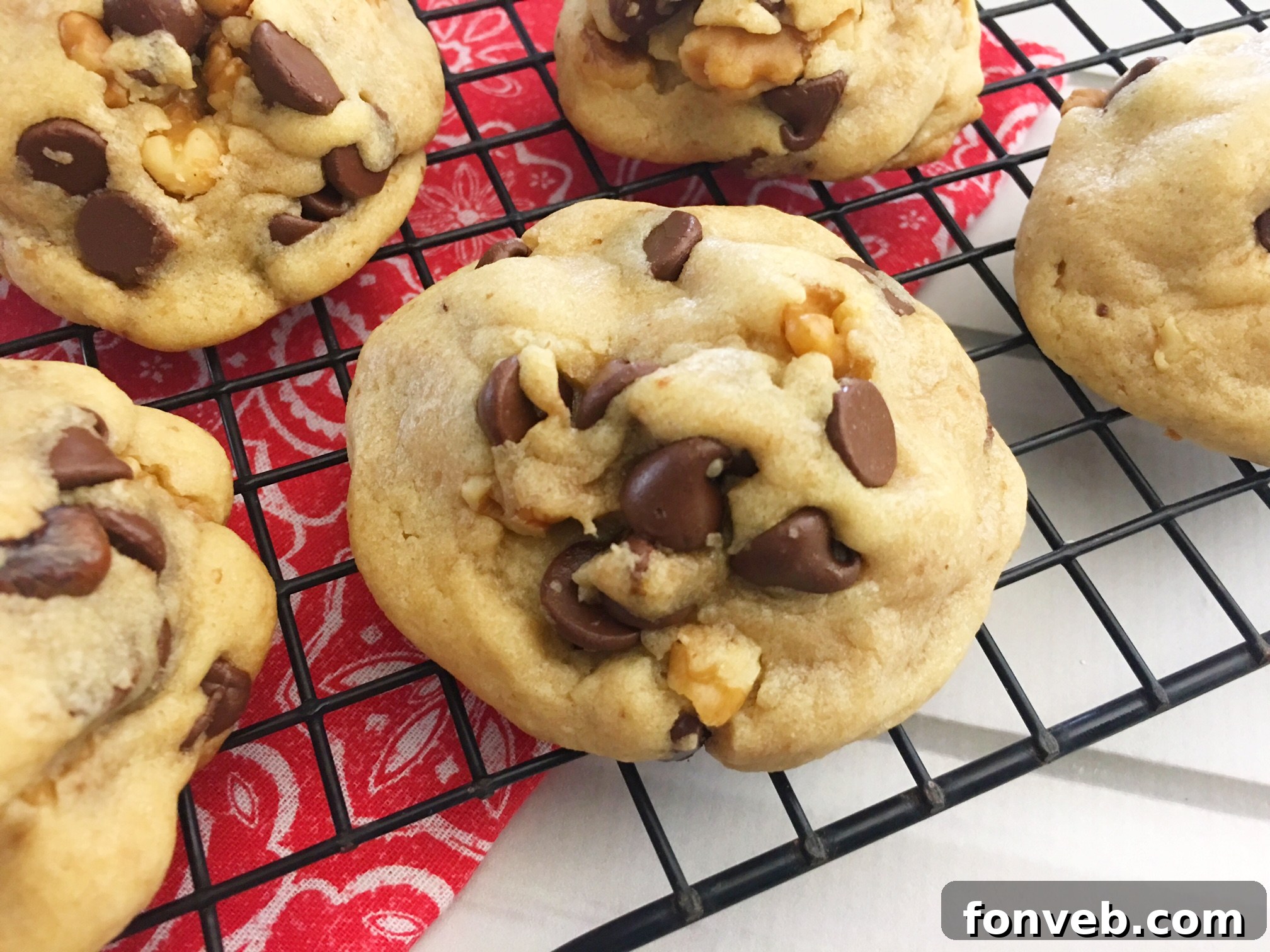 Plate of warm chocolate chip cookies ready to be served