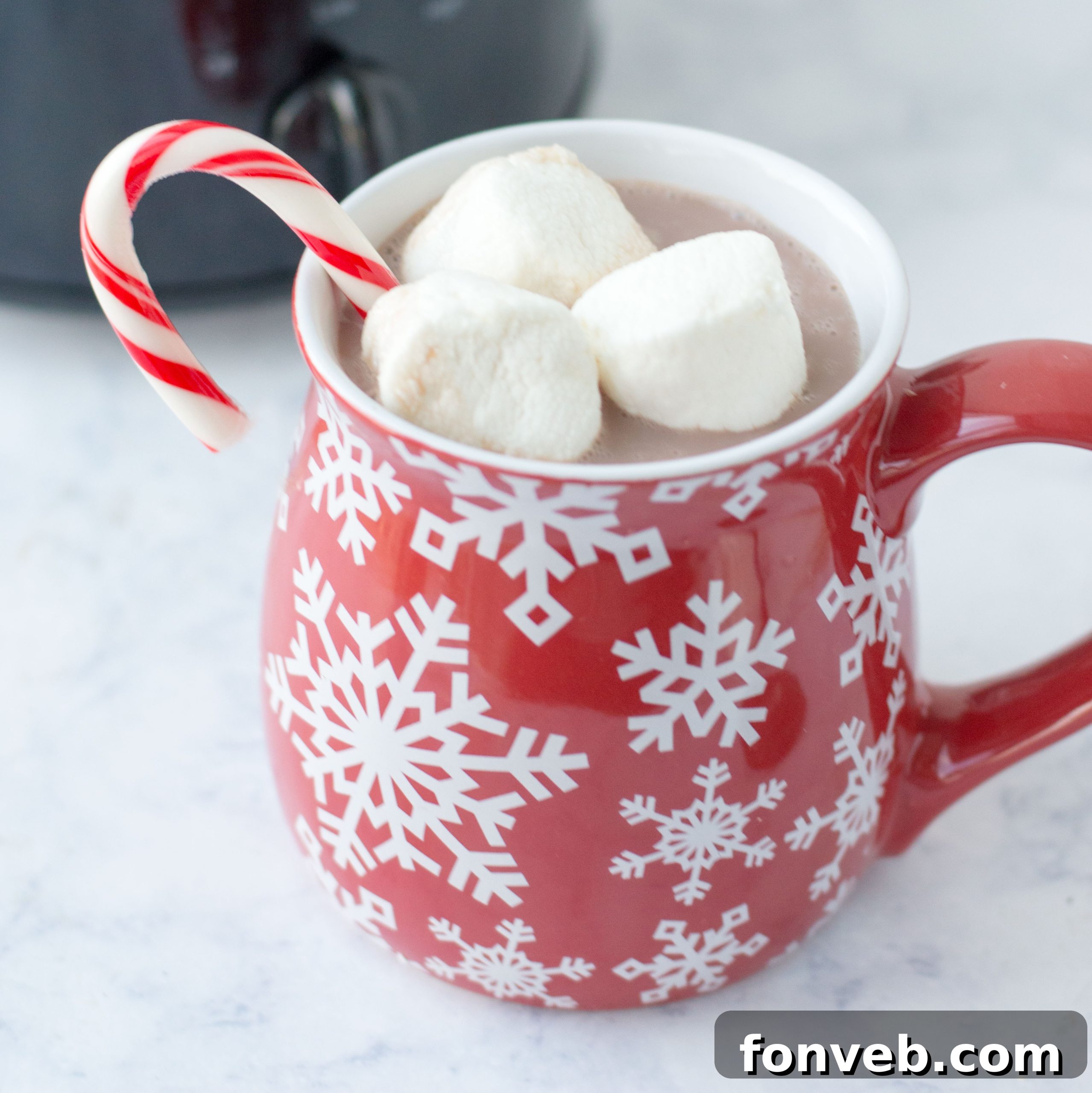 Two steaming mugs of hot chocolate, one with marshmallows for kids, another with a dash of liquor for adults, showcasing versatility.