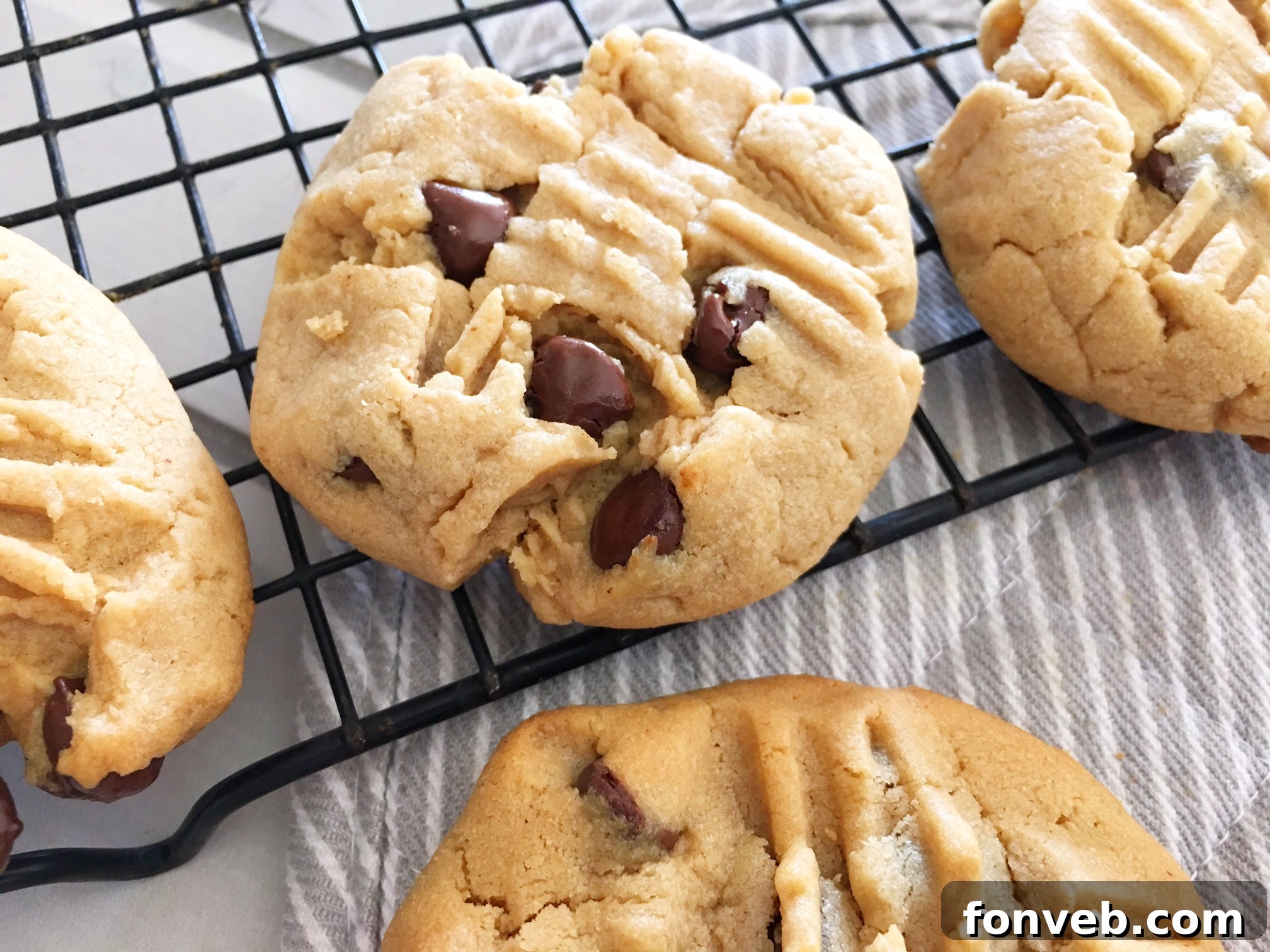 Toll House Velvety Soft Peanut Butter Cookies 2 Freshly baked soft and chewy peanut butter cookies cooling on a wire rack.