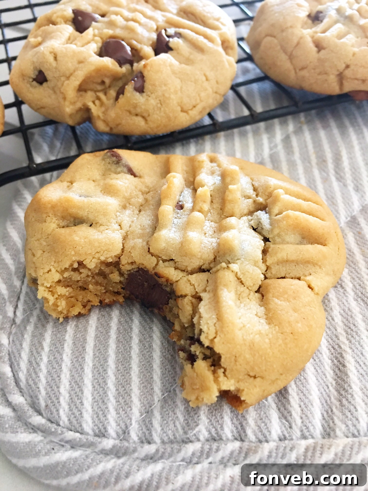 Toll House Velvety Soft Peanut Butter Cookies 5 Delicious peanut butter cookies ready to be shared as a gift.