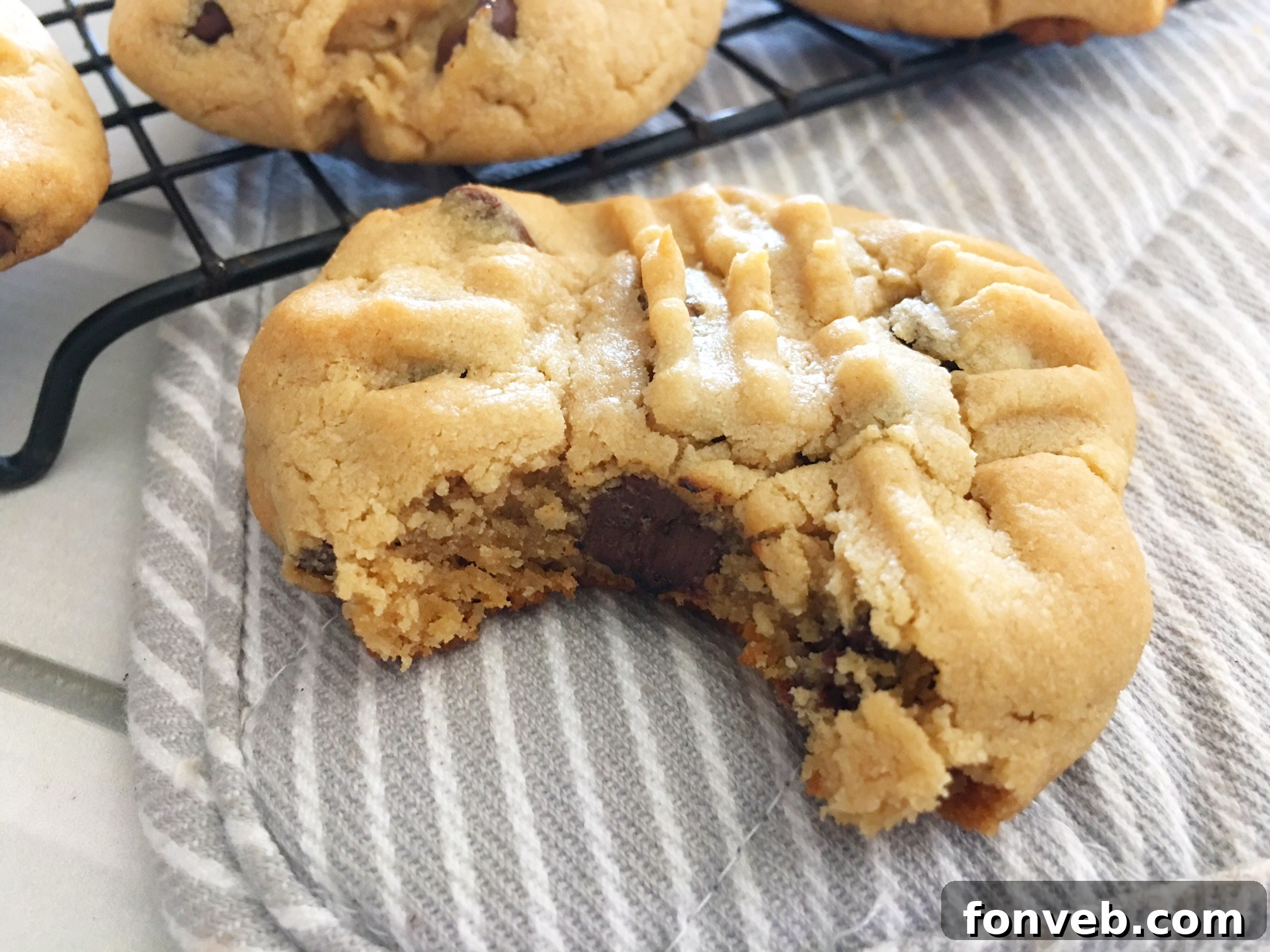 Toll House Velvety Soft Peanut Butter Cookies 7 A plate of golden-brown peanut butter cookies, perfect for any time.