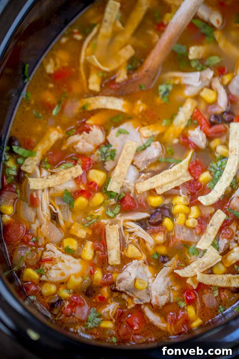 Lezzetiyle Baştan Çıkaracak Tarifler 12 Bowl of Slow Cooker Chicken Tortilla Soup with toppings