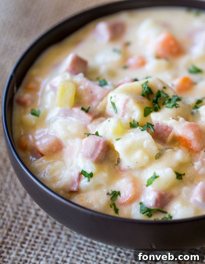 Lezzetiyle Baştan Çıkaracak Tarifler 16 Creamy Slow Cooker Ham and Potato Soup in a bowl