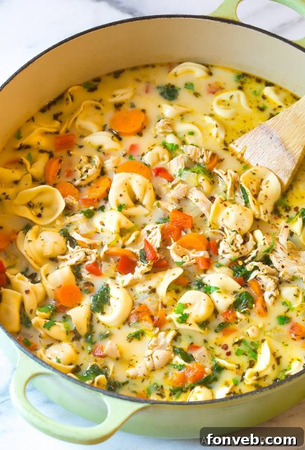 Lezzetiyle Baştan Çıkaracak Tarifler 10 Bowl of creamy chicken tortellini soup with herbs