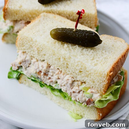 Aesthetic shot of a chicken salad sandwich