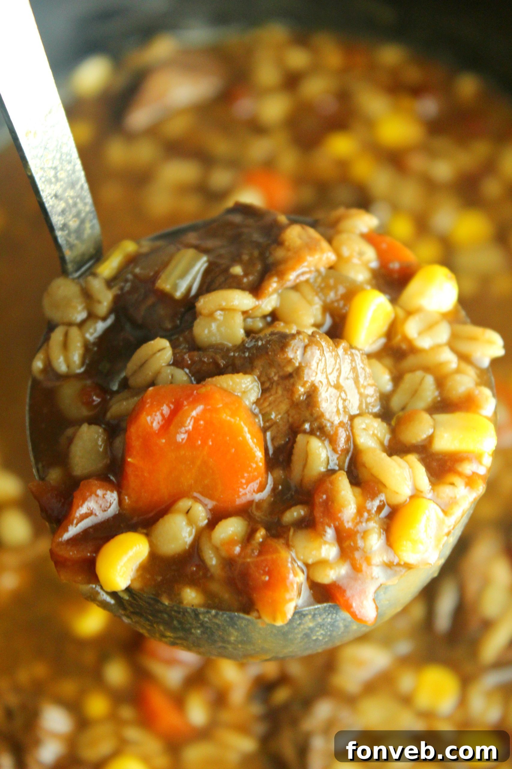 Hearty Slow Cooker Beef and Barley Soup 2 Delicious slow cooker beef and barley soup in a bowl, ready to serve.