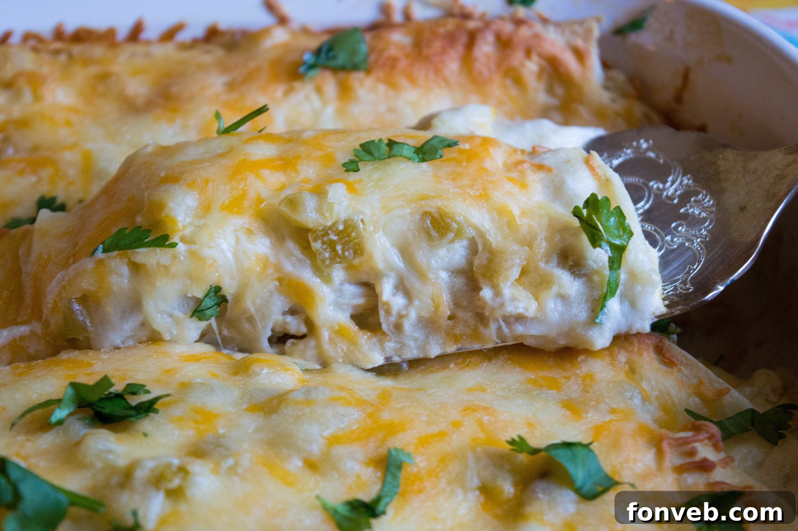 A beautifully arranged serving of white chicken enchiladas on a plate, garnished with fresh cilantro.