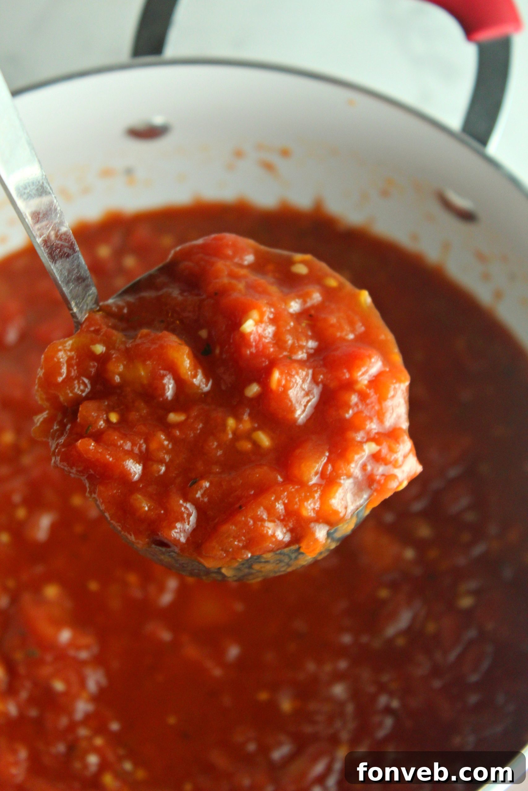 The finished homemade Italian tomato sauce, ready to be served.