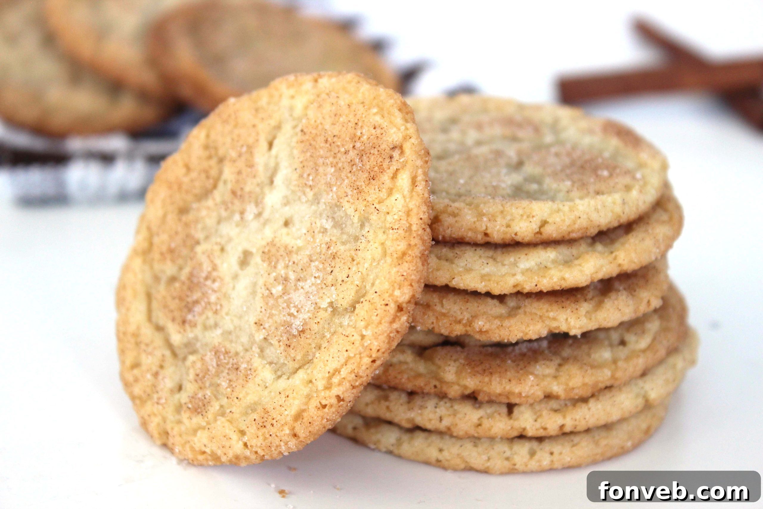 A close-up shot of a single perfectly baked snickerdoodle cookie, highlighting its crinkled cinnamon-sugar coated exterior and promising a soft, chewy interior.