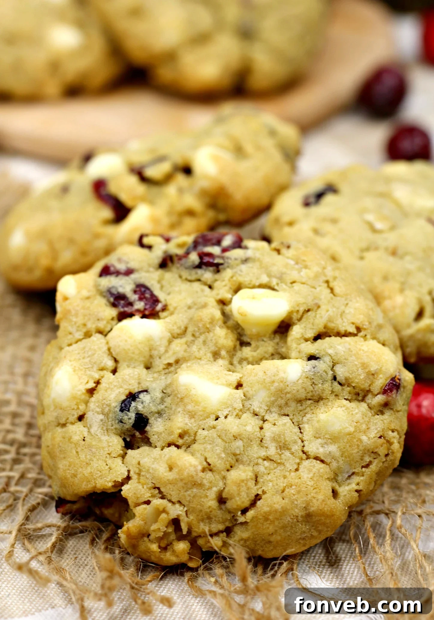 Close-up of three Cranberry White Chocolate Oatmeal Cookies on a cooling rack, showcasing their texture and ingredients.