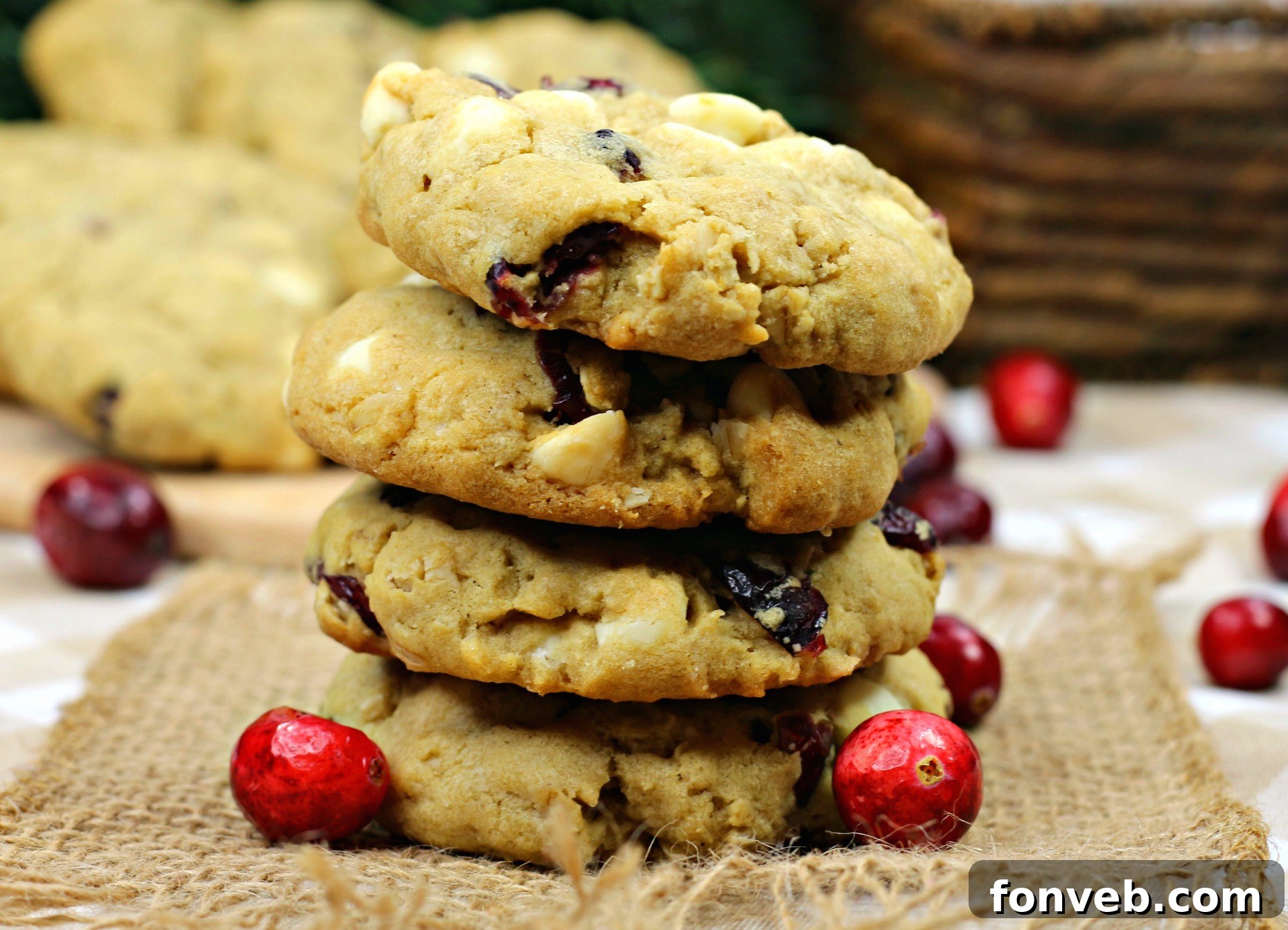 Cranberry White Chocolate Oatmeal Cookies with a glass of milk, suggesting a delightful snack.