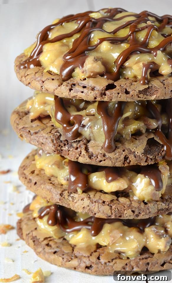 A selection of festive cookies, possibly a collage from the collection, showcasing holiday treats