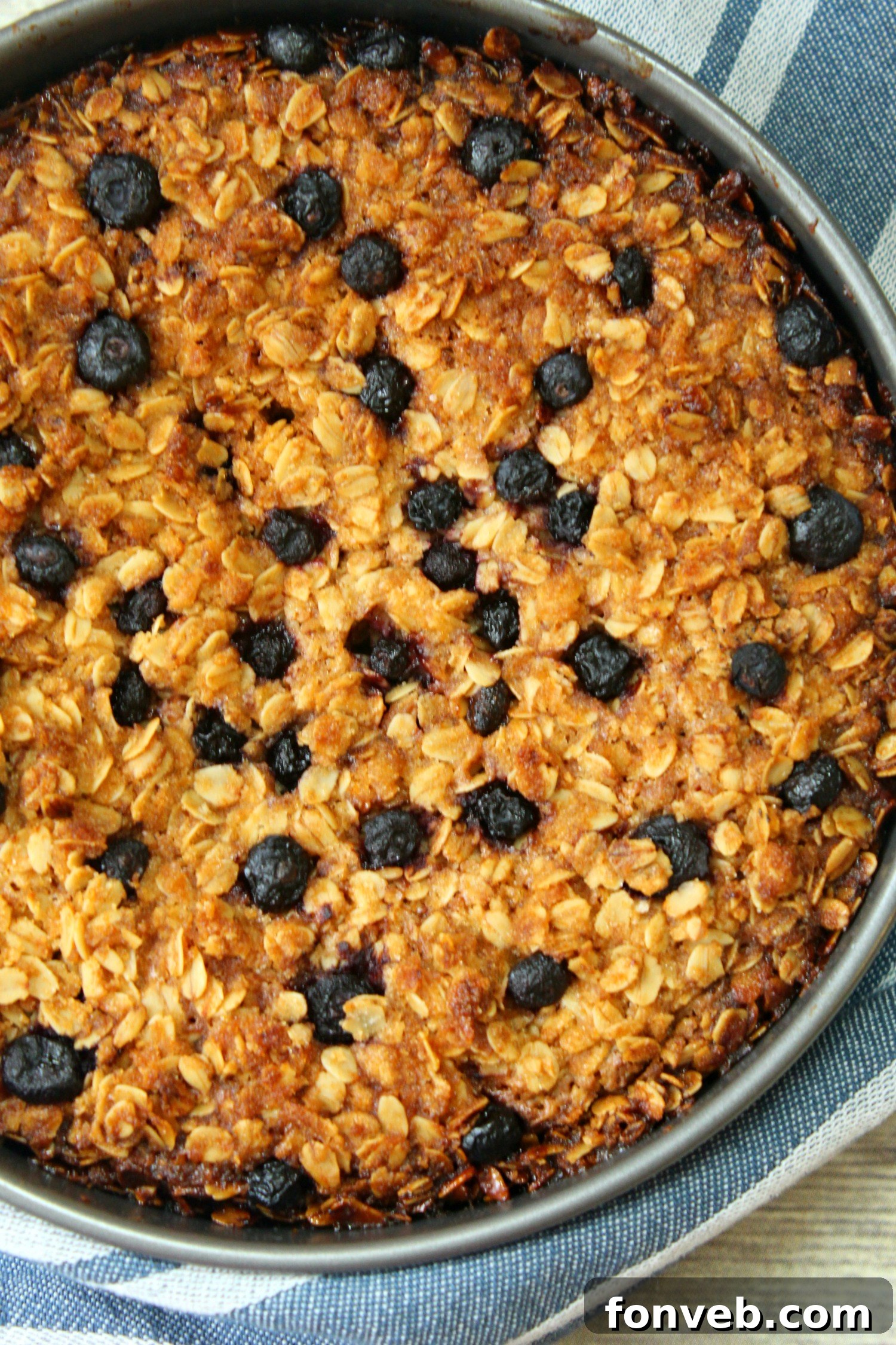 Close-up view of the blueberry cream cheese coffeecake, emphasizing the delicate crumbs of the oat topping and the soft, inviting texture of the cake underneath.