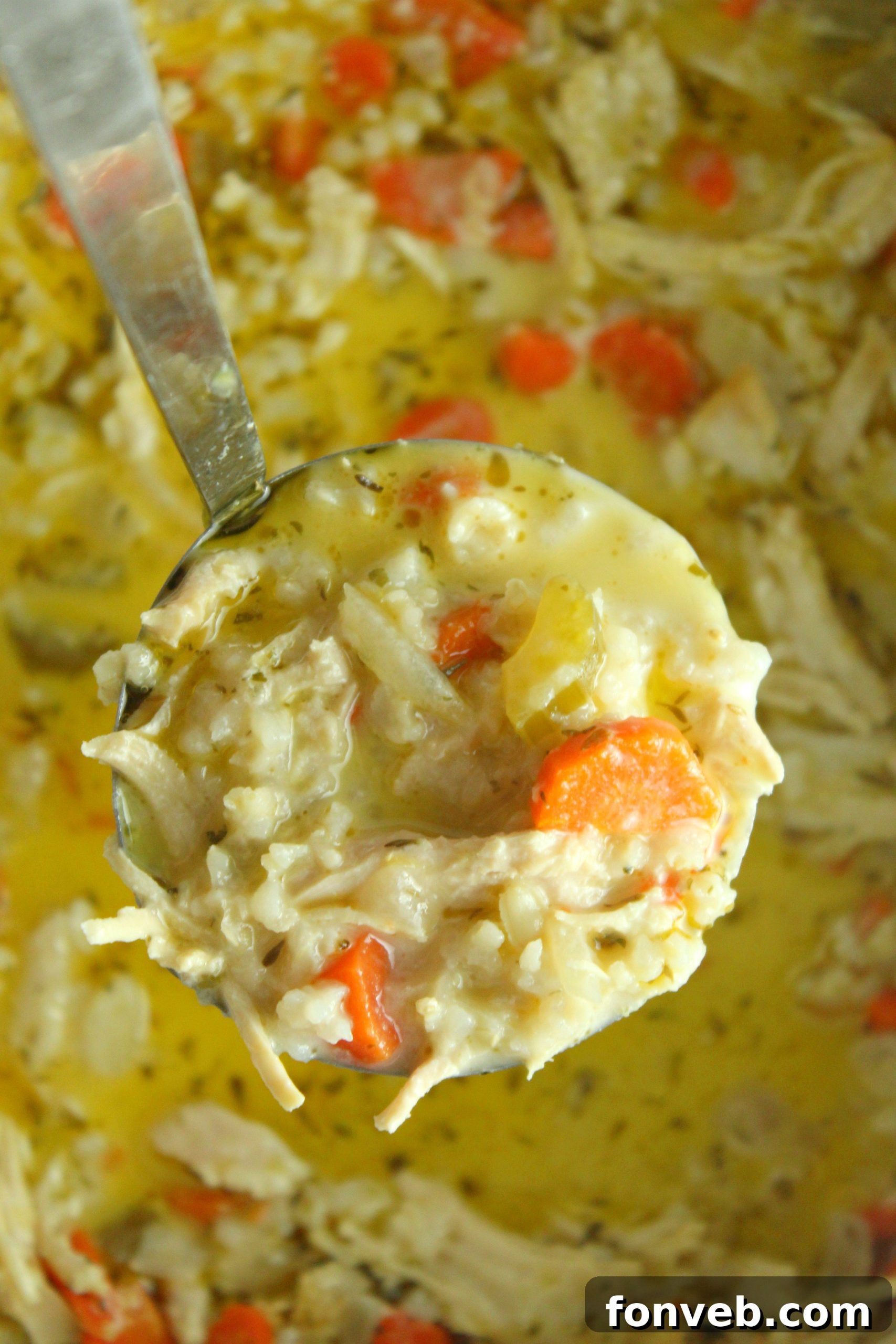 The finished chicken and rice soup in a bowl, ready to eat.