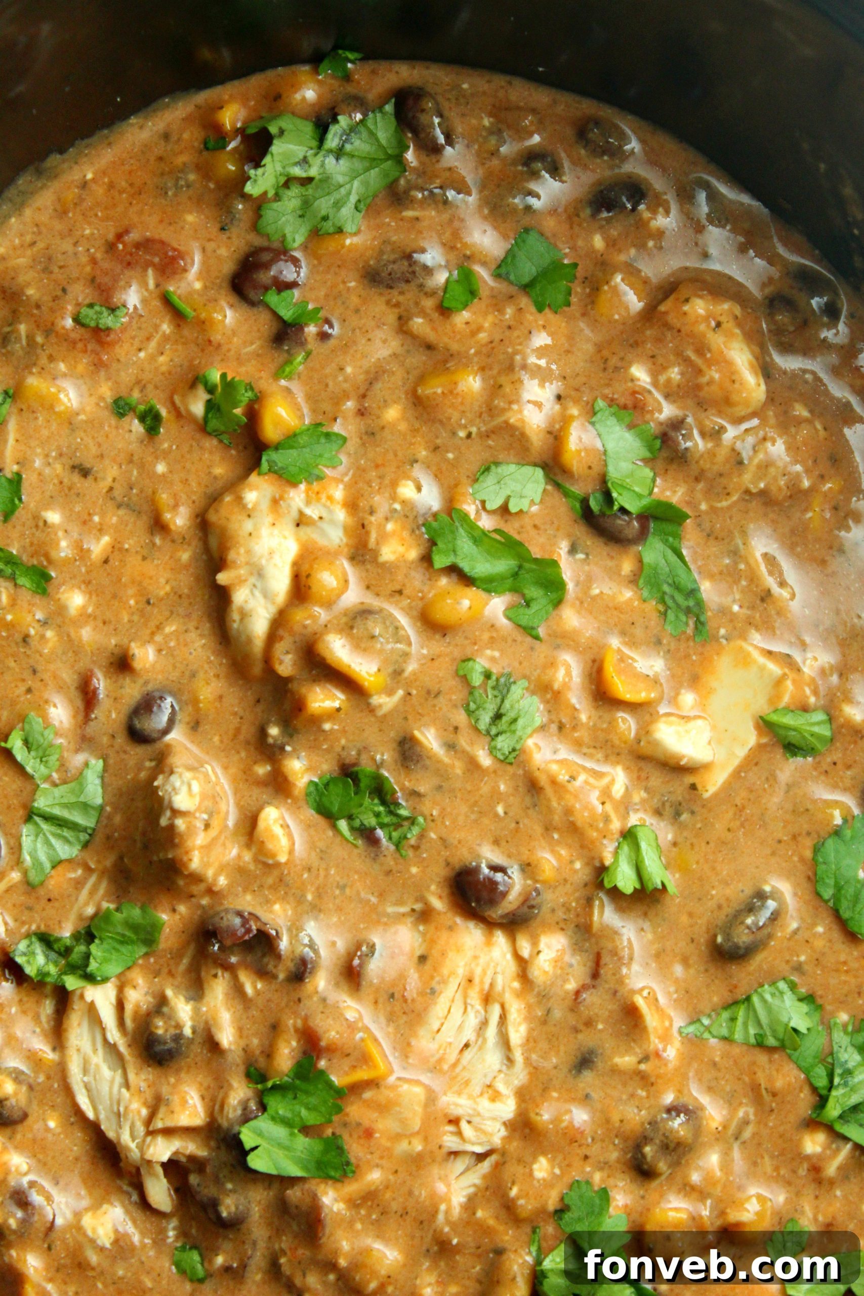 Velvety Slow Cooker Cream Cheese Chicken Chili 3 Slow Cooker Cream Cheese Chicken Chili served in a bowl with a spoon.