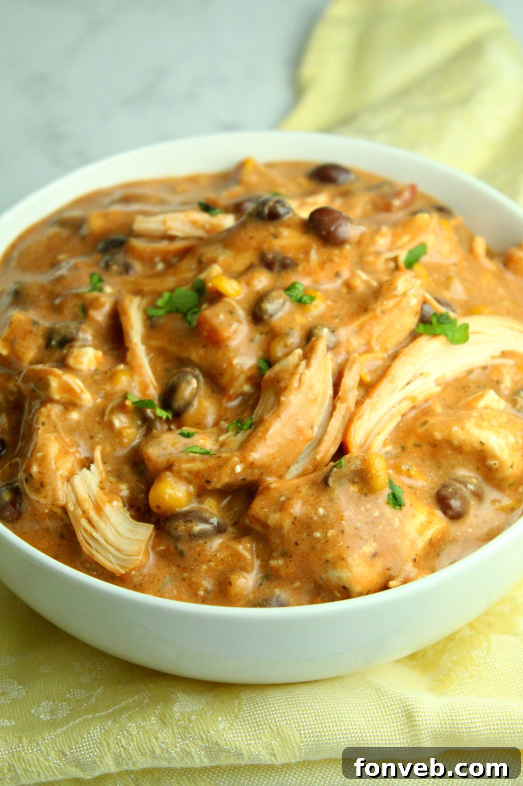 Velvety Slow Cooker Cream Cheese Chicken Chili 4 Close-up of Slow Cooker Cream Cheese Chicken Chili, showcasing its creamy texture.