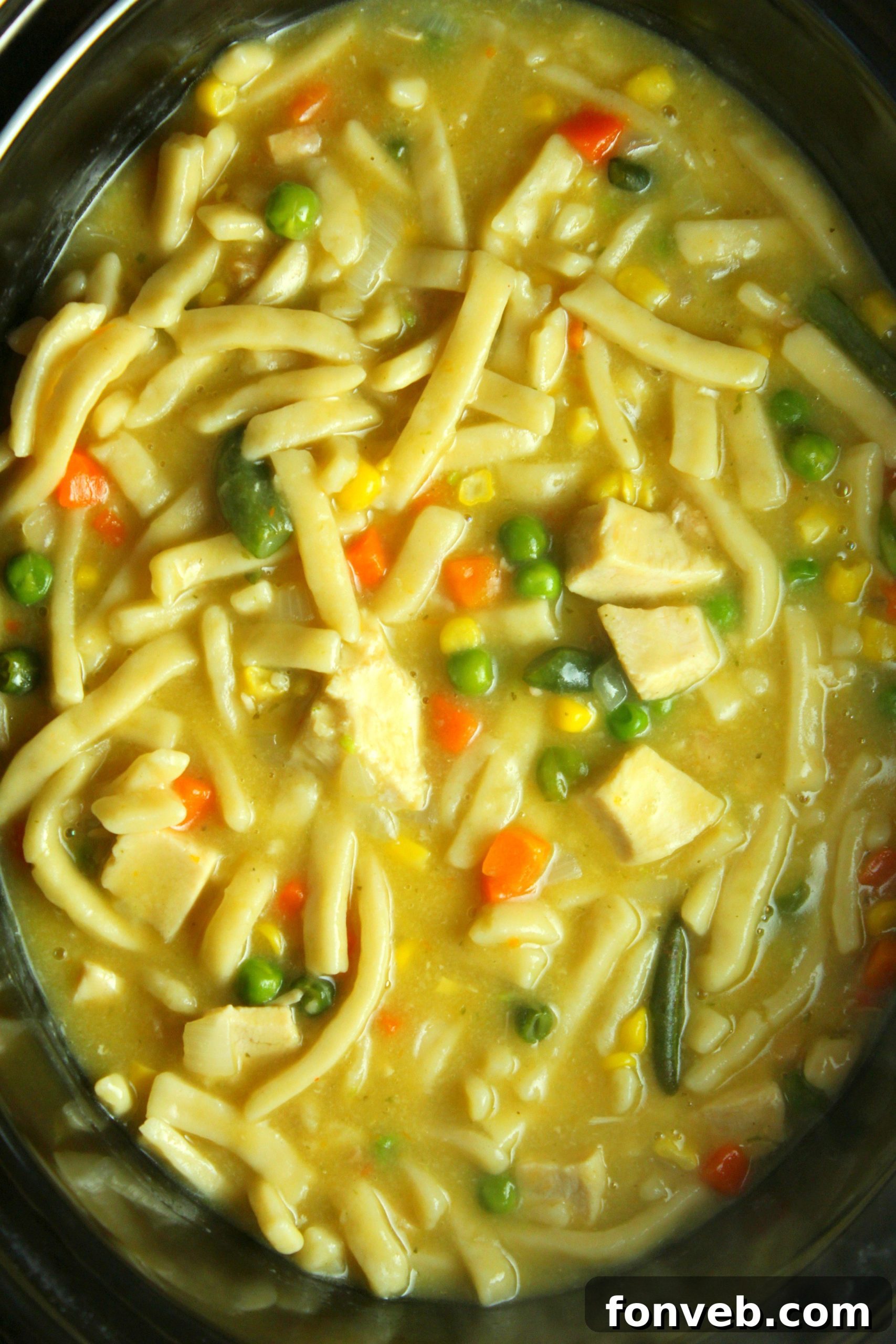 Overhead shot of slow cooker chicken noodle soup in a rustic bowl