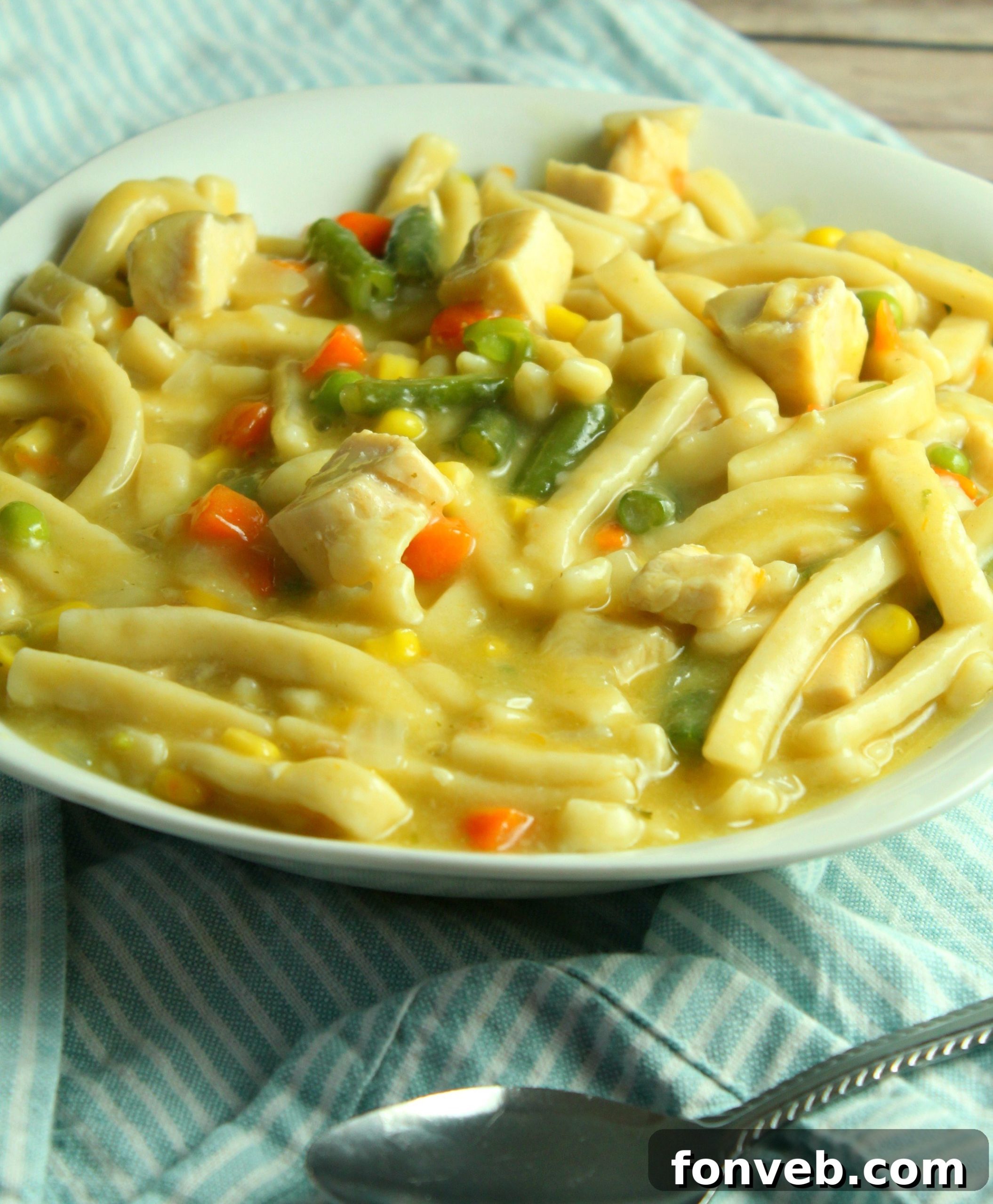 Closeup shot of chicken and noodles in the soup with steam rising