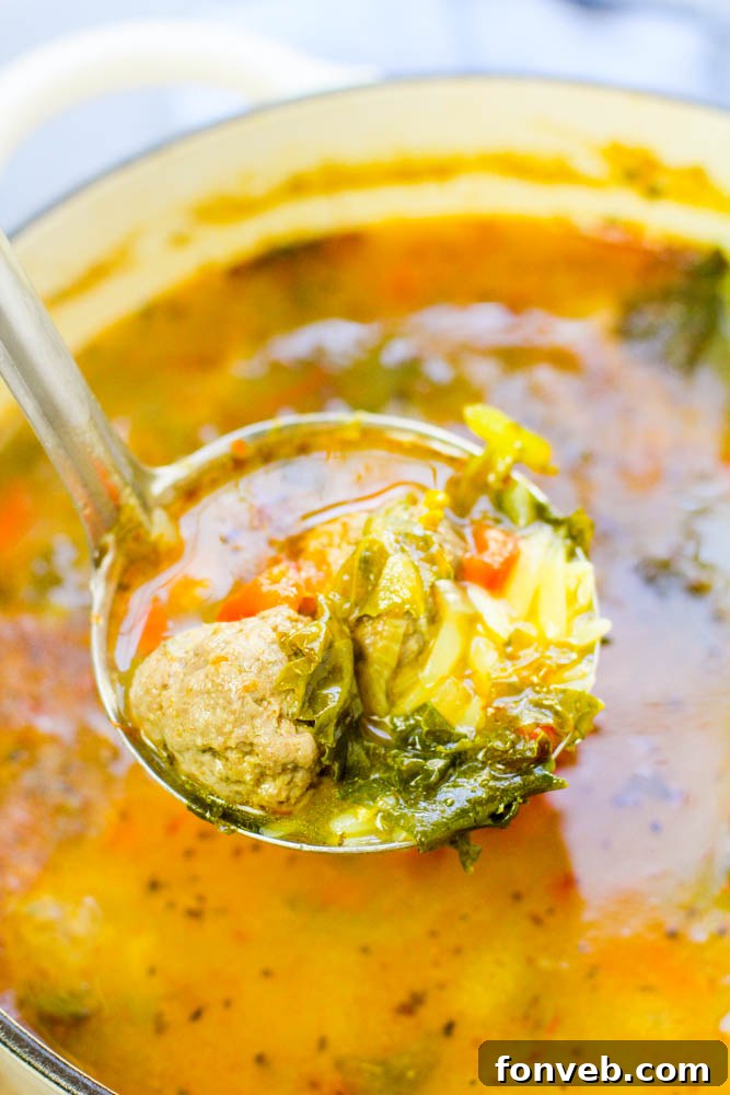 Rustic Tuscan Meatball Soup 8 A close-up of fresh parsley sprigs and red chili flakes sprinkled over the Tuscan Meatball Soup, enhancing its visual appeal and flavor.