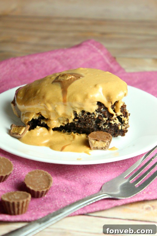 Slow Cooker Reeses Peanut Butter Chocolate Fudge Cake 5 A slice of slow cooker Reese's cake on a plate, ready to be enjoyed