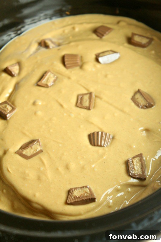 Slow Cooker Reeses Peanut Butter Chocolate Fudge Cake 7 A close-up of the delicious slow cooker Reese's cake with its inviting frosting